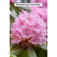 Rhododendron Quilt Guild in Florence